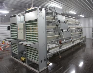 The Double Layer Steel Structrue Chicken House