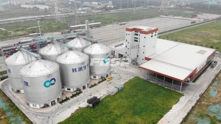 Feed Pellet Plant Manufacturing Plant for Animal Feed Production Line