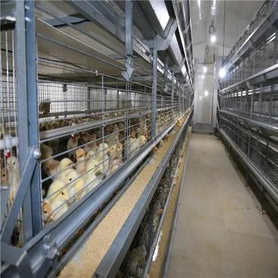 Self Manufactured Factory Price Full-Automatic Steel Duck House with Certificates