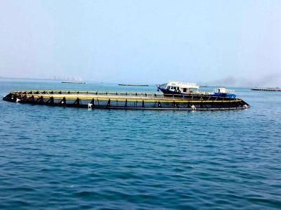 Quality Aquaculture Fish Farming Cages Feeder