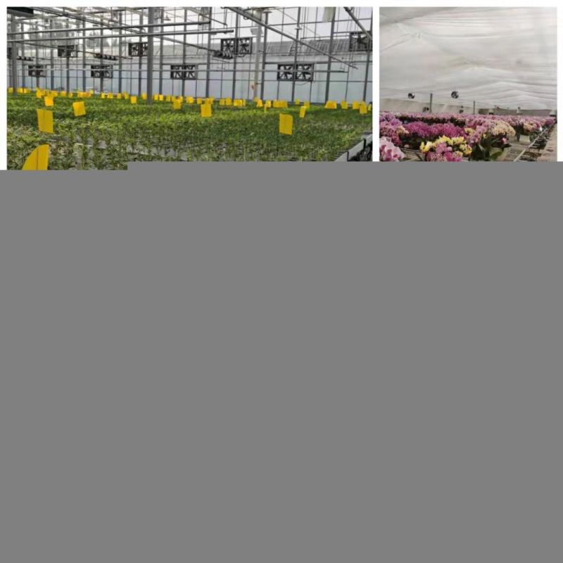 Commercial Factory Price Grow Rack Ebb and Flow Rolling Benches for Sale