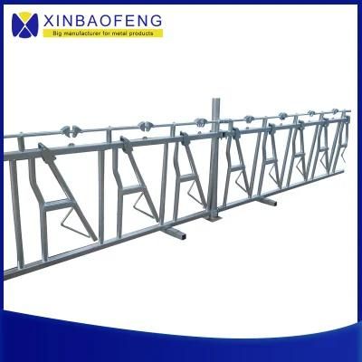 Cow Headlock with Hot-Galvanized Steel Pipe