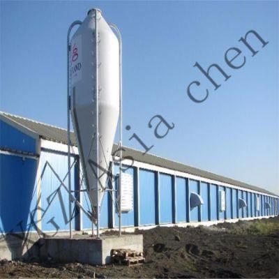 Asia Chen Design Steel Structure Shed for Poultry Farming House