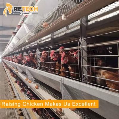 Automatic galvanized battery chicken cages equipment for poultry farms