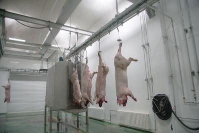 3kw Efficiency Automatic Pig Washing Machine Slaughtering Equipment