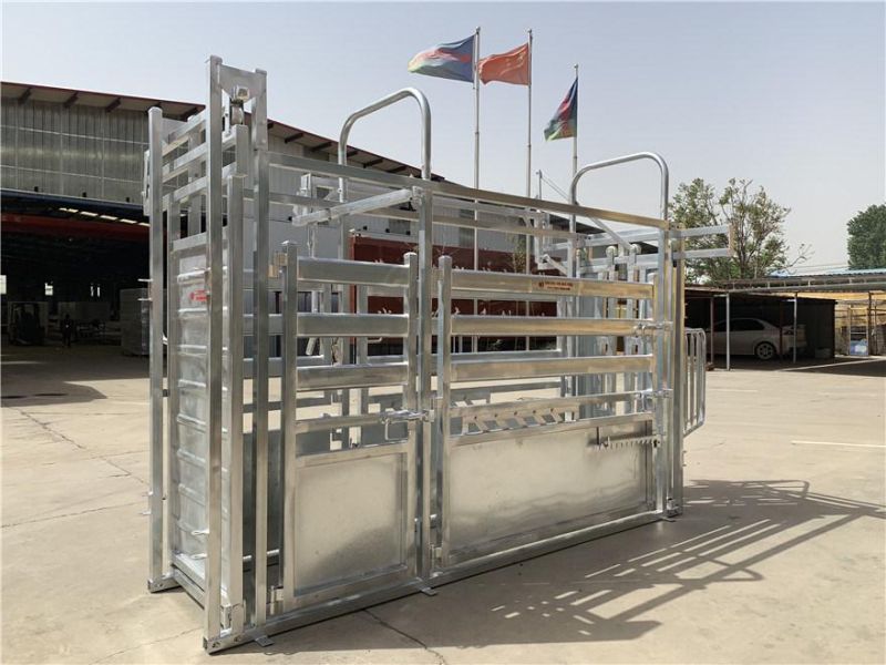 Hot DIP Galvanized Epidemic Prevention Hoof Trimming Weight Cattle Crush Cattle Squeeze