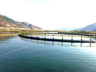 Round Floating Cage for Fish Made of PE Pipe
