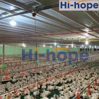 Customized Farm Design Steel Structure with Chicken Equipment