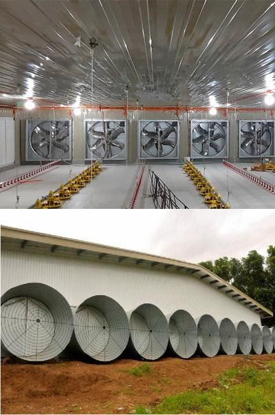High Quality Insulated Wall Roof Panel Poultry House Design Philippines for Broiler and Breeder Chicken