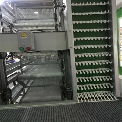 Long Span Prefab Steel Poultry Farm Equipment