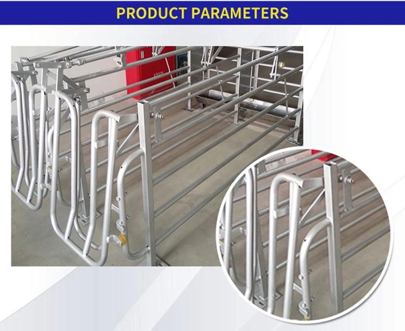 Factory Pig Breeding Equipment Weaning Stall Location Bar for Pregnant Sow Gestation Stall Hog Farrowing Crate