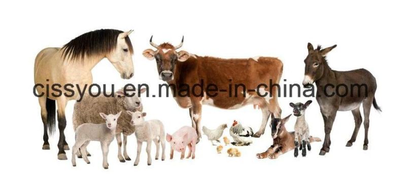 Hydroponic Cattle Sheep Horse Barley Fodder Grass Growing Machine
