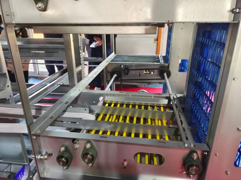 Hot Product Layer Chicken Cage Equipment with Automatic Egg Collecting System for Layer Chicken Laying Egg for Sale