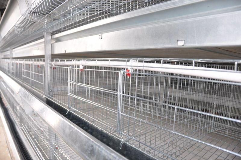 2022 Chicken Cages for Africa Poultry House Layer Chicken Design