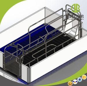 Galvanized Anti-Corrosion Crate Use for Morden Pig Farm