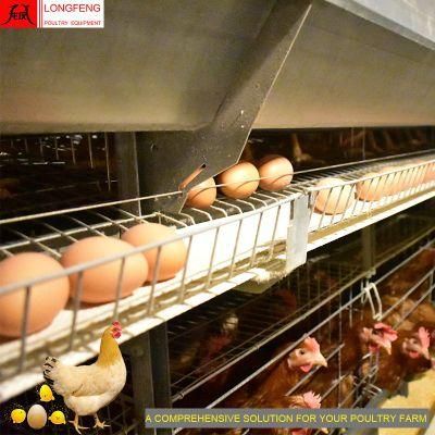 Comprehensive Solution for Farming Longfeng Farm Chicken Cage Poultry Equipment