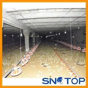 Poultry Farm Equipment Hot Sale in China