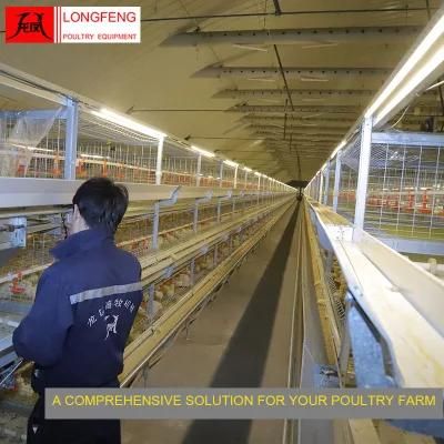 Reliable and Safety Stable Running Longfeng Feeder Broiler Chicken Cage