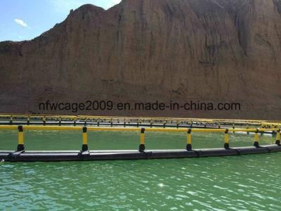 Fish Farm Cage for Salmon Fish Culture Fishing Equipment Fish Farming Equipment