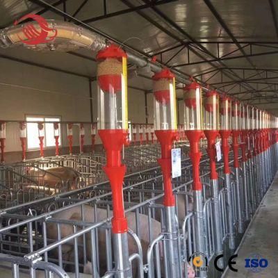 500 Sows Customized Turn-Key Design Automatic Pig/ Swine/ Pork Farm Raising/ Breeding Cage Equipment