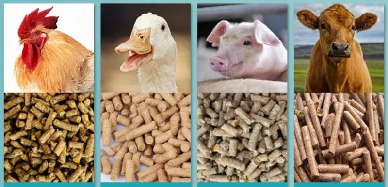 500kg/H Cattle/Sheep Grass Chicken Feed Pellet Mill Machine Poultry Chicken Feed Processing Machine