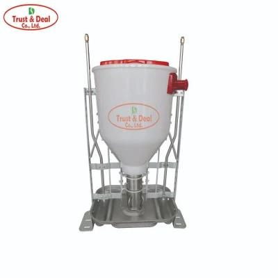 Stainless Steel Feeder Dry Wet Feeder for Pig Sow Swine Farm Equipment