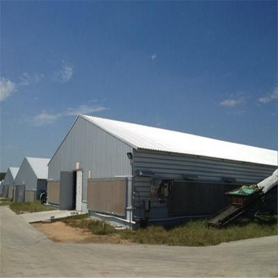 Low-Cost Quality Prefab Steel Structure Chicken Shed with Self Equipment