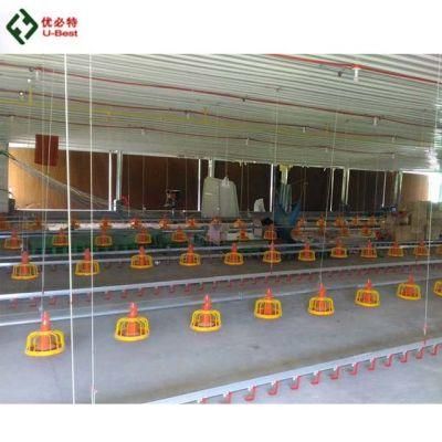 Fully Automatic Broiler Feeding Equipment System for Poultry Chicken Farm