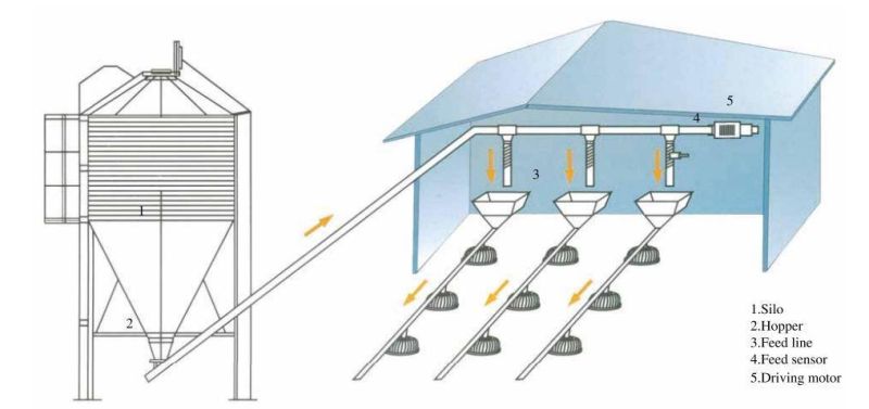 Electrical Control Poultry Farm Equipment for Broiler Chicken