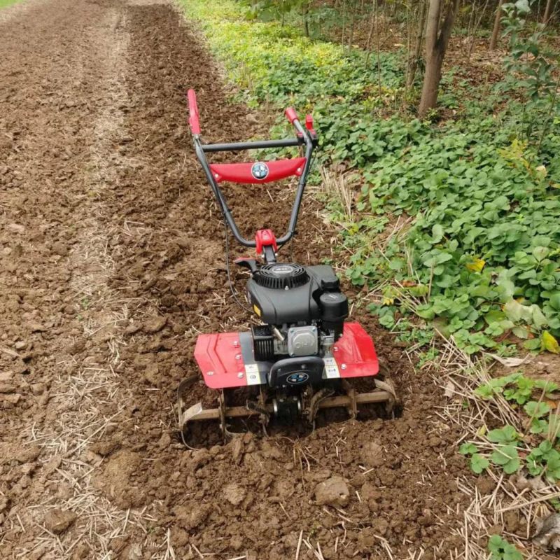 Mini Farm Tools 6HP 7HP 9HP Gas Power Tiller with Tilling and Weeding Function