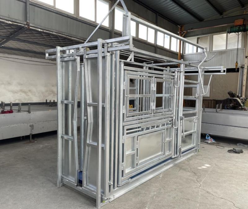 Hot DIP Galvanized Epidemic Prevention Hoof Trimming Weight Cattle Crush Cattle Squeeze