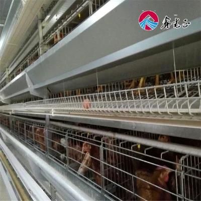 Poultry Farm Equipment Chicken Cages