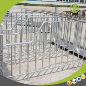 Pig Equipment Hot DIP Galvanized Pig Gestation Stall Pig Stall