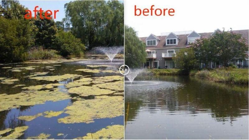 Aquatic Vegetation Removal Machine/Aquatic Weed Cutting Equipment/Aquatic Weed Harvester