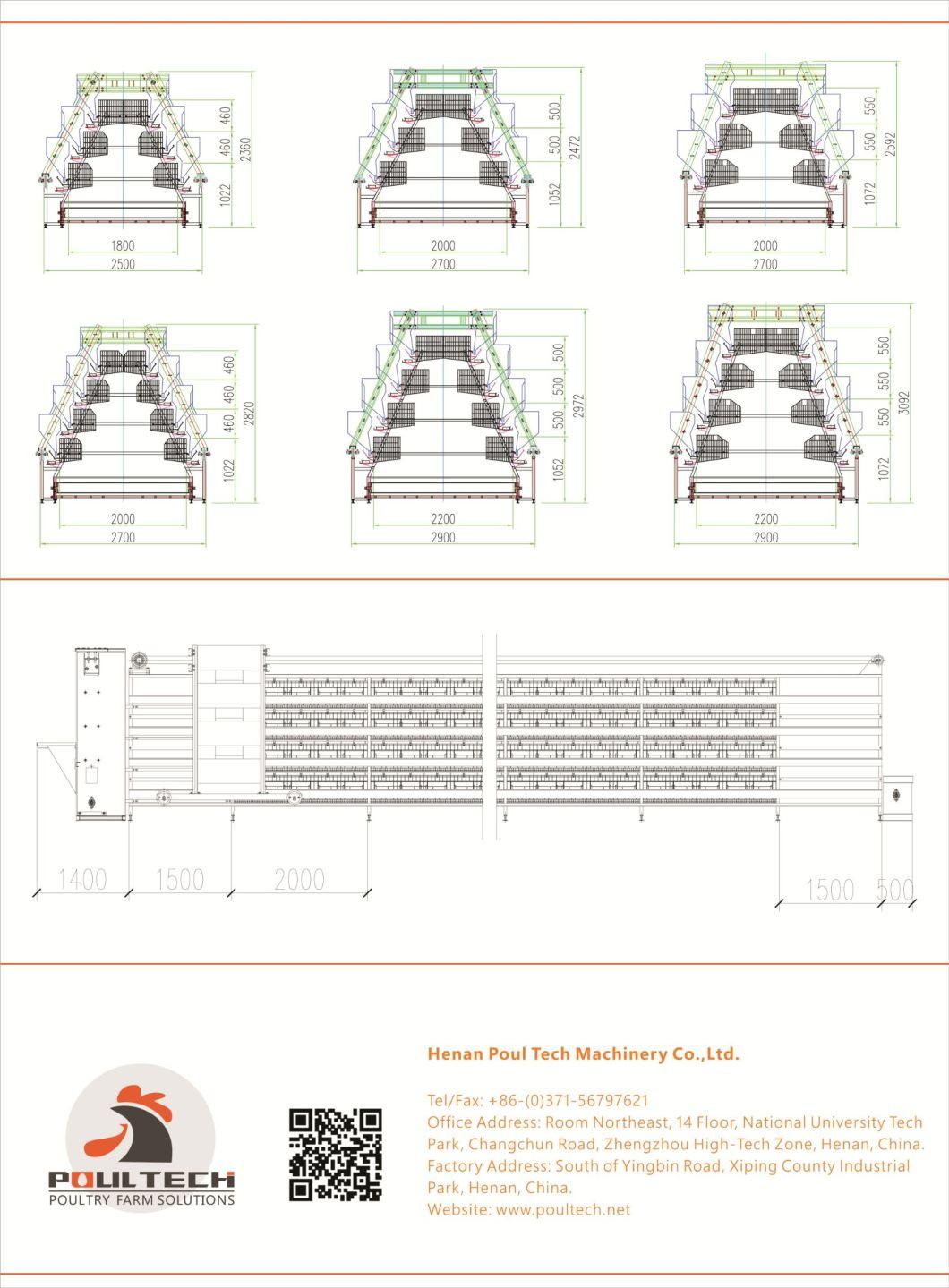 Automatic Chicken Poultry Layer Cage for Poultry Farming