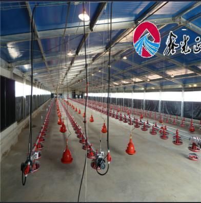 Prefab Chicken Farm Poultry House Shed with Equipment