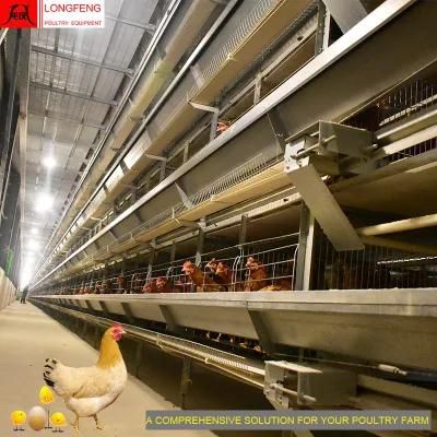 China Local After-Sale Service in Asia Chicken Cage Cages for Egg Farming Layers