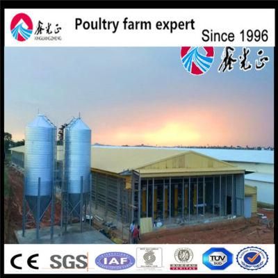 Whole Set Poultry Farm House Design Drawing for Broiler/Breeder/Turkey