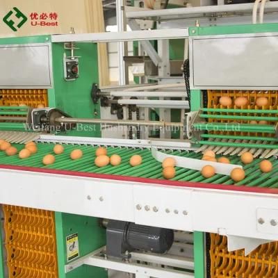 100000 Automatic H Type Laying Hens Galvanize Wire Chicken Layer Cage