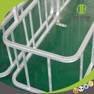 Gestation Sows Stall for Pig of Poultry Equipment