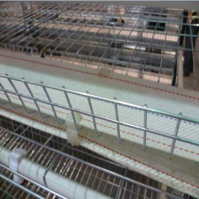 Hot Selling Layer, Pullet Chicken Cage Equipment for Chicken House
