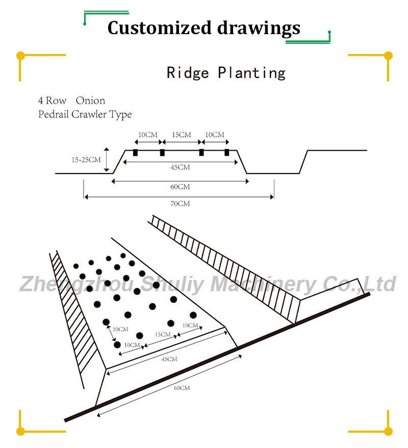 Automatic Green Onion Transplanter Lettuce Transplant Machines Vegetable Transplanter