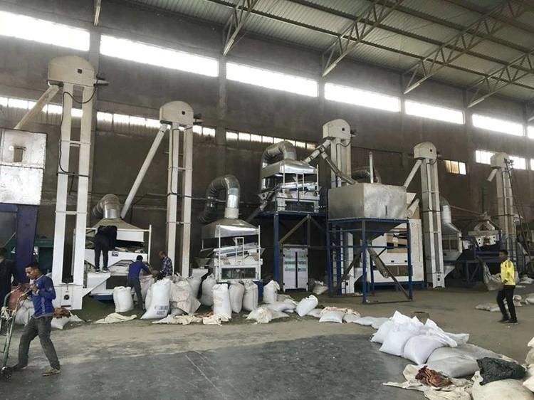 Coffee Bean Cleaning Line / Cocoa Bean Processing Line