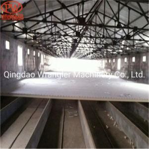 Poultry Plastic Floor for Broiler/Breeder/Layer Farm House
