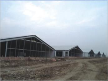 Saudi Arabia Steel Structure Henhouse