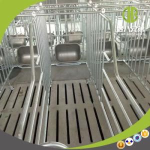Gestation Stall or Individual Stall Need Agent Contact Me