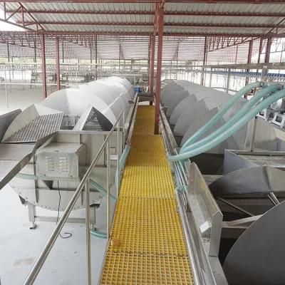 Halal Chicken Abattoir Equipment Broiler Chicken Slaughter Equipment