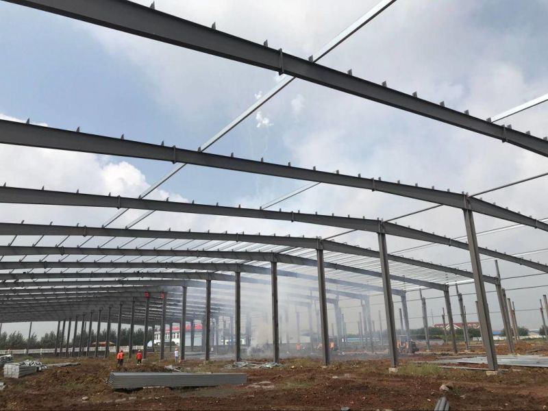 Professional Steel Structure Chicken Farm with Ce Certification