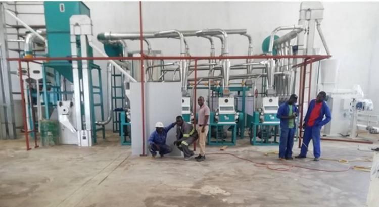 Automatic Maize Flour Milling Maize Meal Machines for Harare Zimbabwe