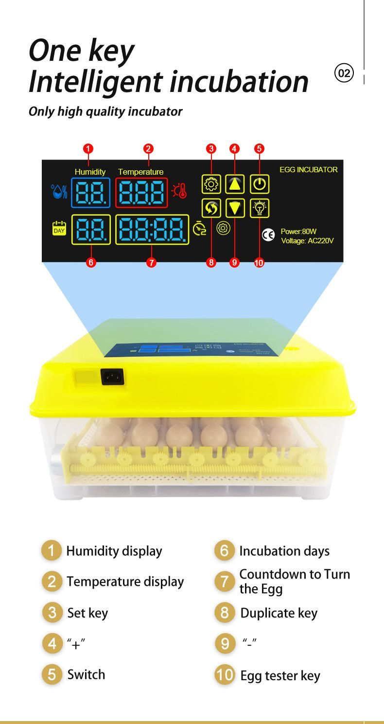 Farm Automatic Mini Hatchery Equipment Machine Aquaculture Trout Fish Egg Incubator for Sale